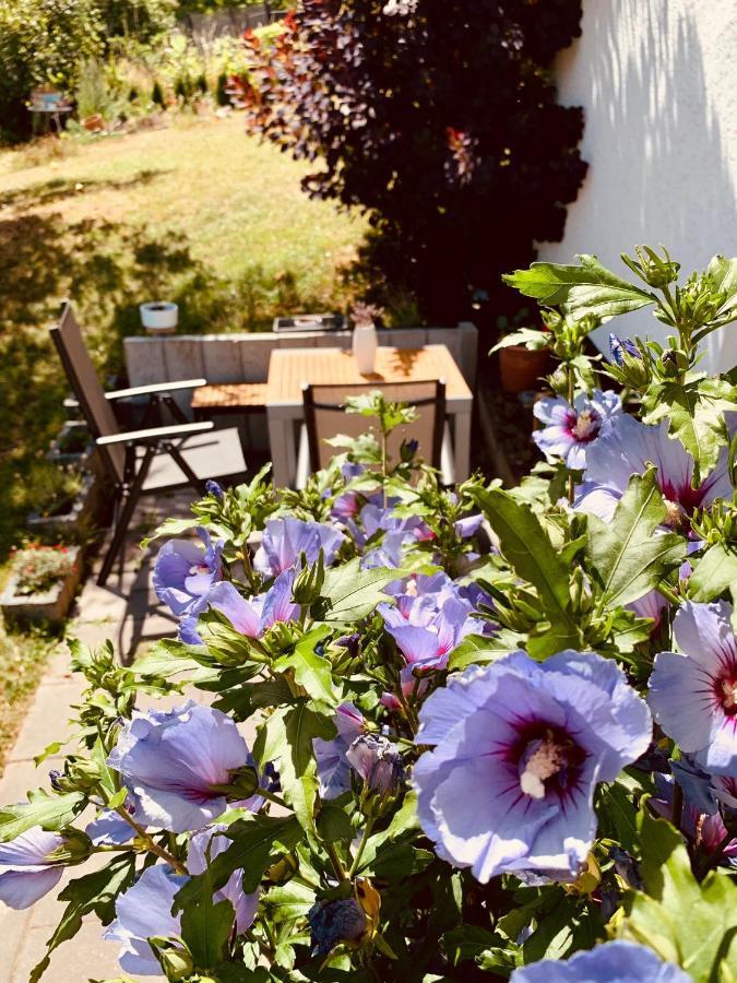Ferienwohnung „Hygge“ In Liebenburg Esterno foto